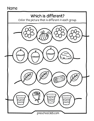 Quality same or different activity worksheets for children