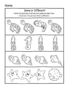 Ocean Animals, Fun deep blue sea theme activity sheets for preschool ...