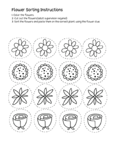 Sort the pictures activity for children