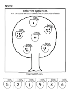 Apple Theme Preschool Activity Worksheet L1