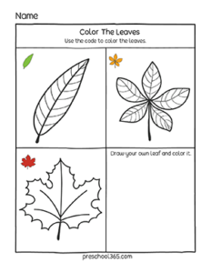 Quality activity sheets on autumn leaves for homeschool prek children