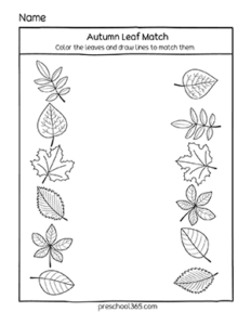 Fun preschool worksheets theme on fall leafs and autumn colors for prek kids