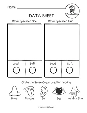 My sense of hearing experiment Data Sheet