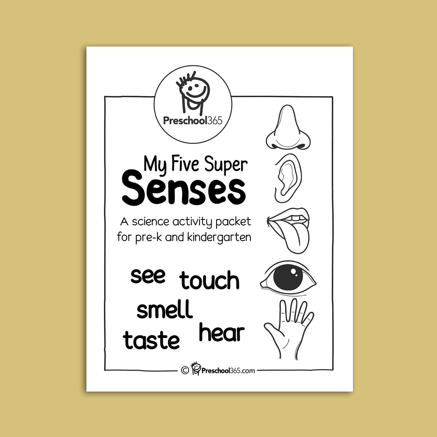 The Five (5) Senses of Touch, Hearing, Sight, Taste and Touch