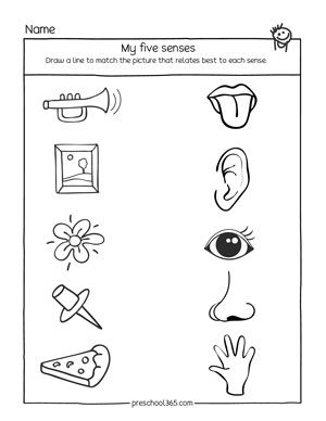 five senses worksheets for kindergarten