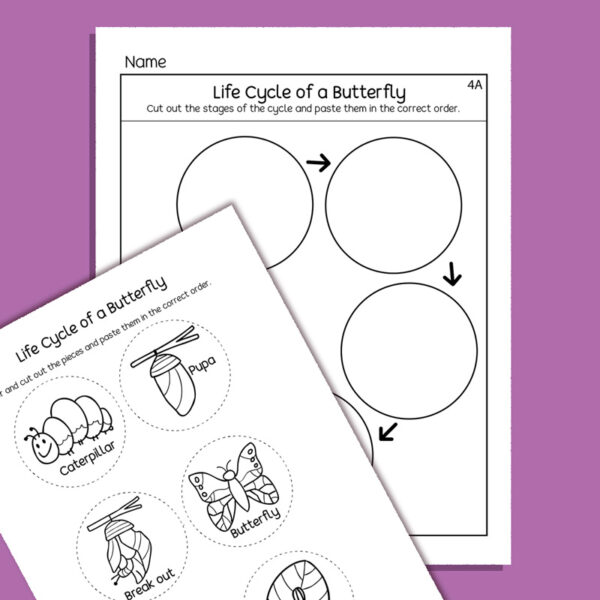 Fun Preschool and kindergarten sequence activity sheets