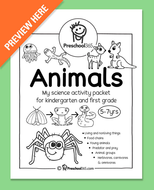 Animals science activity pack for kindergarten and first grade