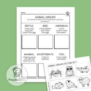 Animal groups worksheet
