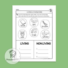Animals: A science activity packet for 5-7year olds