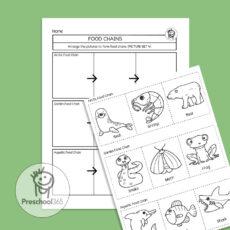 Animals: A science activity packet for 5-7year olds