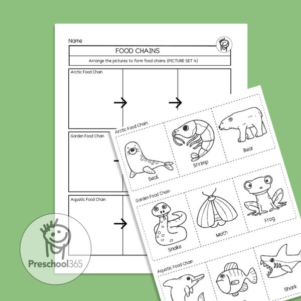 Food chains activity sheet