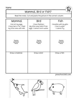Mammal, bird, fish, Free animal group worksheet for kindergarten