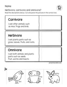 Kindergarten and first-grade animal science activity sheets