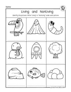 Living or non-living, Free animal group worksheet for first grade