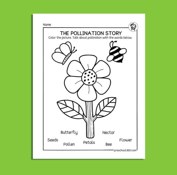 Pollination in plants, free kindergarten science printables