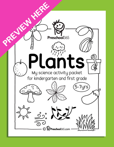 Plant science for first gradeers