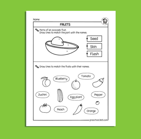 Fruits and seeds, first grade science printables