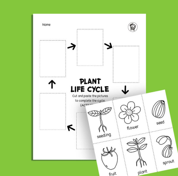 Plant life cycles, kindergarten science printables