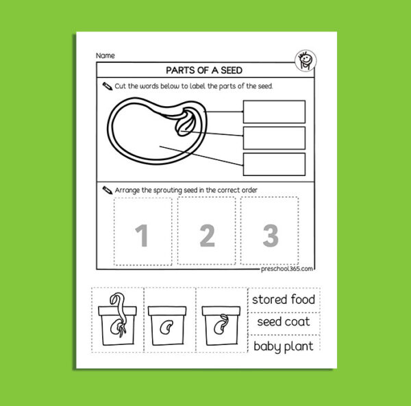 parts of a seed, free kindergarten science printables