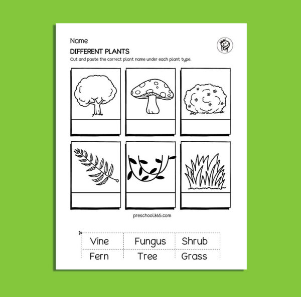 Green flowing plants science activity packet for 5-8year olds