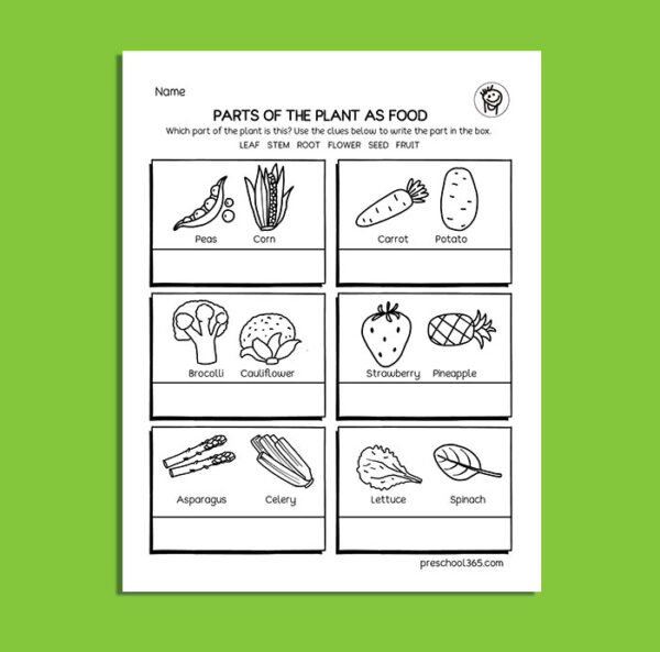 Parts of the plants that we eat activity sheets