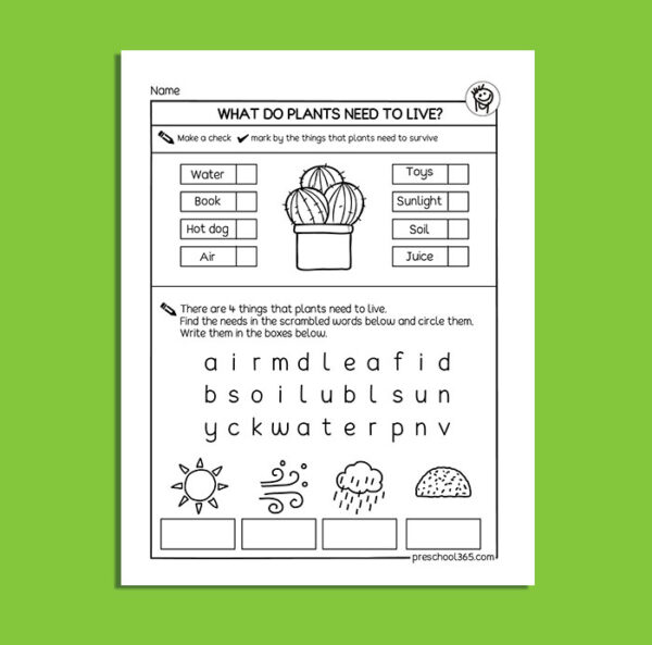 Needs of plants first grade activity sheet