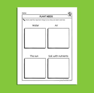 Green Plant - My Science Activity Packet (22pages) for 5-8year olds