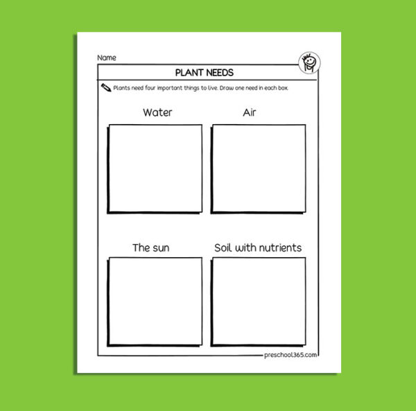 What do green plants need to survive, first grade science printables