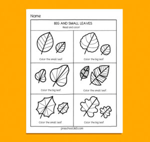 Fall Leaf PreK worksheet