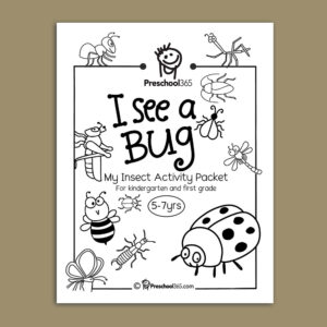 Insects science activity pack for kindergarten and first grade kids
