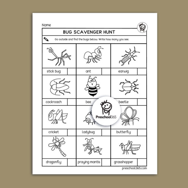 Insect scavenger hunt data sheet for kindergarten