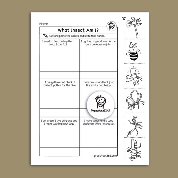 Insect discovery for first grade children