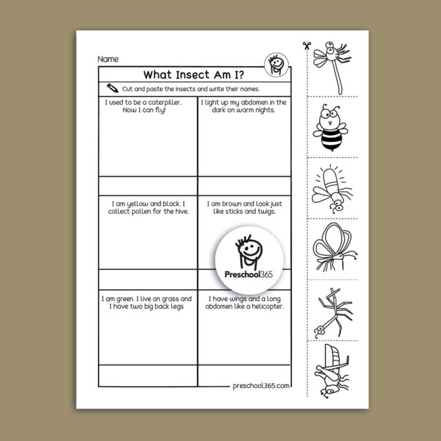 I See A Bug Science Activity Packet (14pages). Great packet for insects.