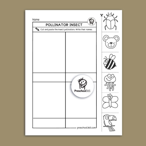 Insect worksheets for kindergarten