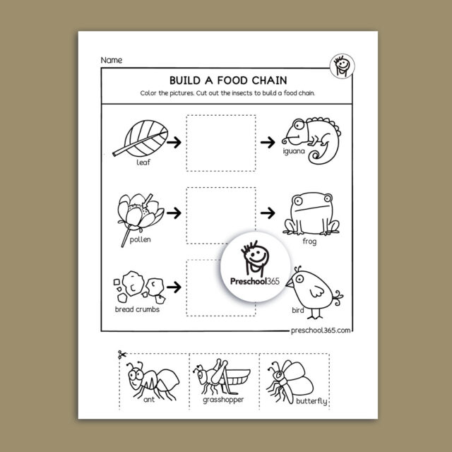 I See A Bug Science Activity Packet 14pages Great Packet For Insects 9633