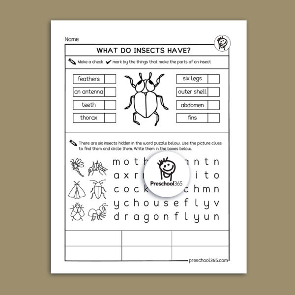 Insect puzzle sheets for 5 year olds