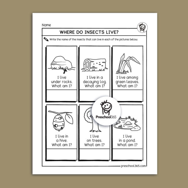 Where do insects live activity pages for homeschool kids