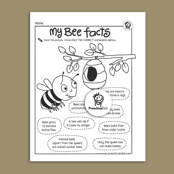 Insects science activity pack for kindergarten and first grade kids