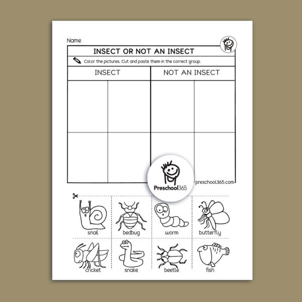 Insect sorting activity worksheet for kids