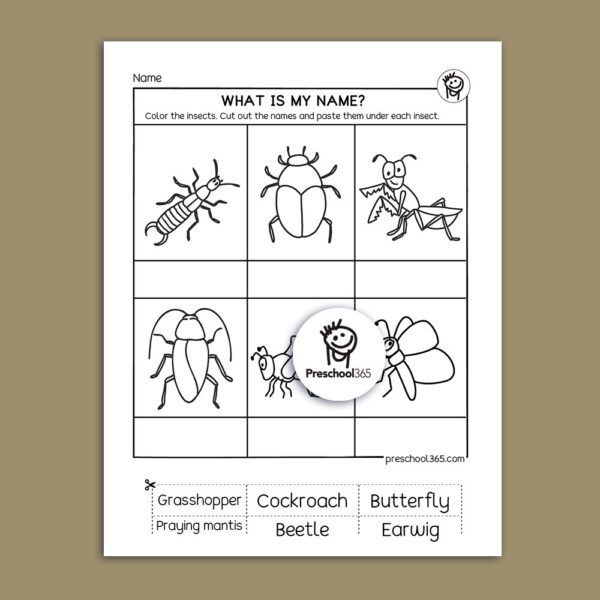 Insects and their names fun activities for homeschooling kids