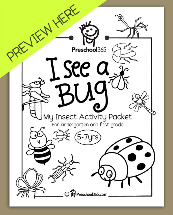 Quality insect activity sheets for children