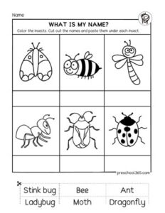 A free science activity worksheet on Insects for kindergarten and first ...