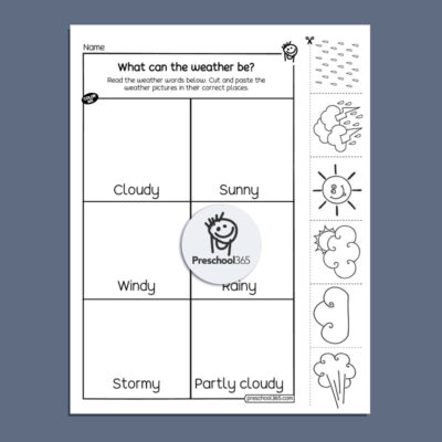 The Weather Science Activity Packet (23pages)