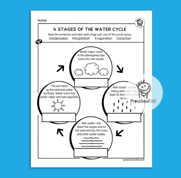 Stages in the water cycle first grade activity packet