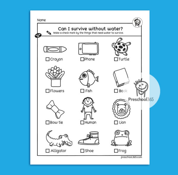 Things that need water to survive first grade worksheet