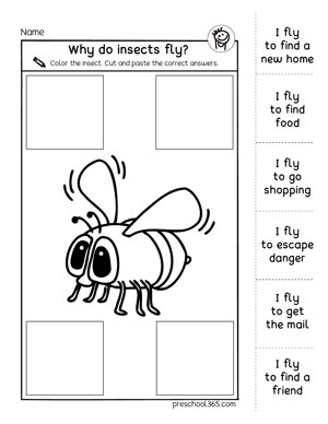 Why do insects fly preschool worksheet