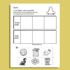 My Five Super Senses Activity Pack (20 activities)