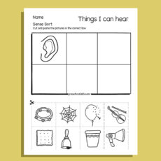 My Five Super Senses Activity Pack (20 activities)