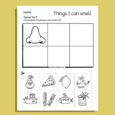 My Five Super Senses Activity Pack (20 activities)