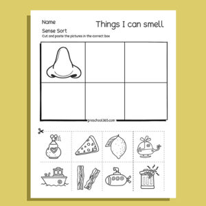 My Five Super Senses Activity Pack (20 activities)